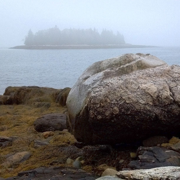 Hog Island Maine Fog