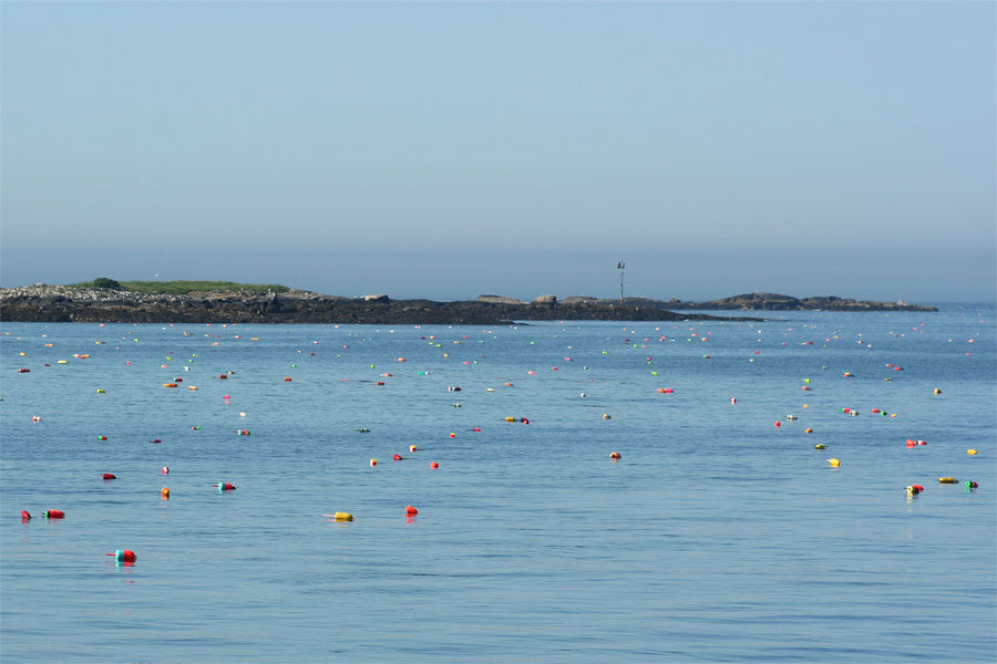 Lobster Buoys Maine Coast