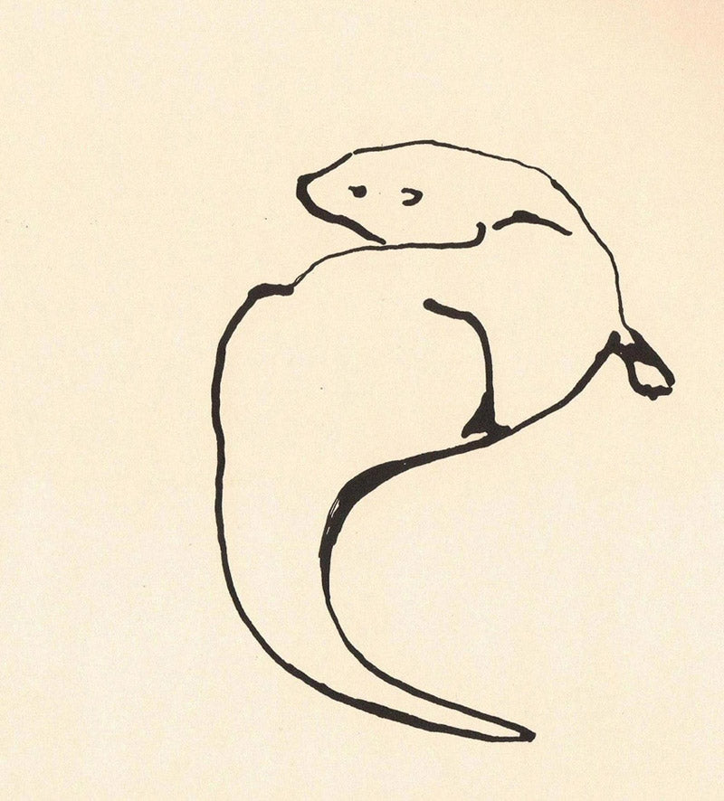 Sophie Neville Otter Ink Drawing