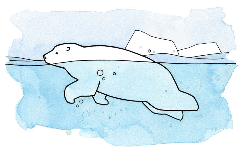 polar bear swimming illustration