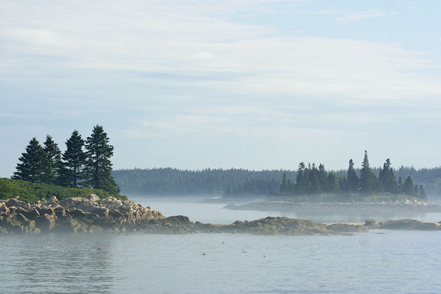 Vinalhaven Maine Landscape