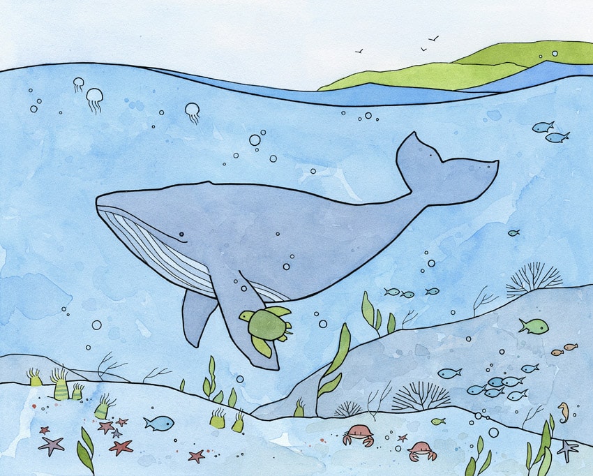 Whale and sea turtle illustration