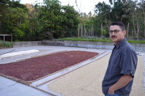 Honduran natural process coffee drying on patio 