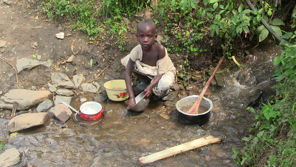 Muungano cooperative, DRC