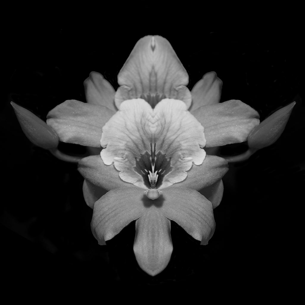 04.03.19 Photo Insight for Teachers: Erica Seccombe