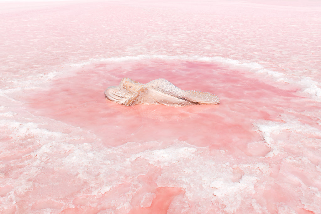 Available for Tour: 'Oceans From Here'