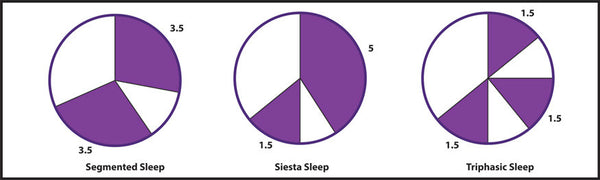 Biphasic & Triphasic Sleep Schedules