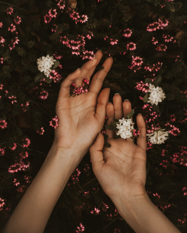 Hands holding flowers