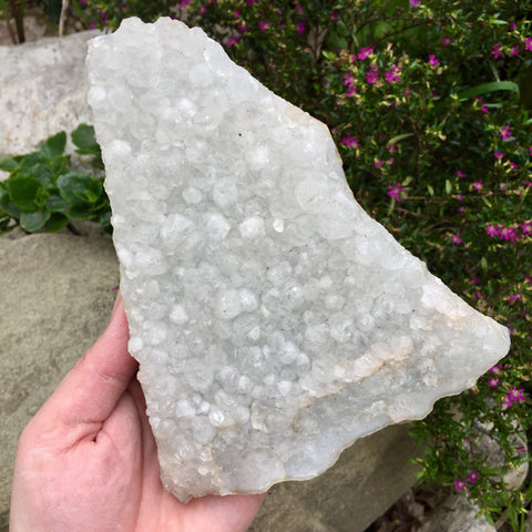 Zeolite Apophyllite Crystal Cluster