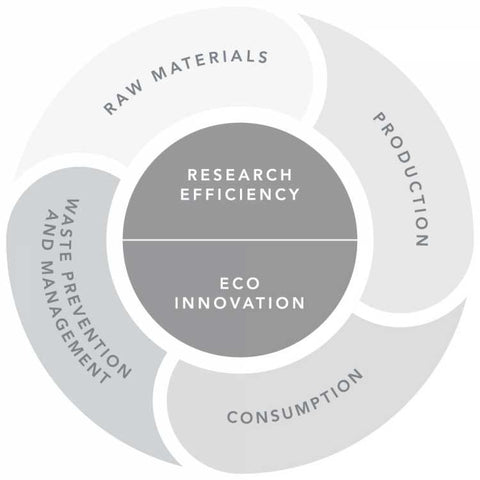 In a circular economy nothing goes to waste. Source Ananas-Anam.