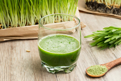 Best Chlorophyll Supplement for Health | Does Matcha Have Chlorophyll?