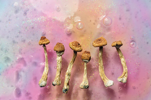 The Science Behind Taking Small Doses of Pyschedelics. The health benefits of microdosing.