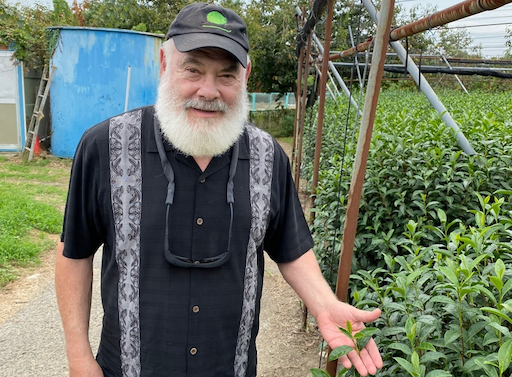 Dr. Andrew Weil shows an authentic matcha tea leaf from a hidden tea field in Uji, Japan