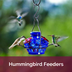 Hummingbird Feeders | Top Notch Gift Shop