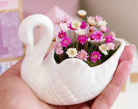 Swan Little Bloom Set