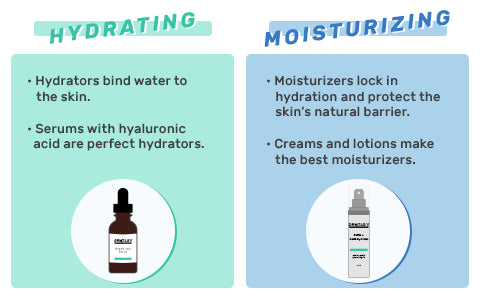 Hydration vs Moisturization