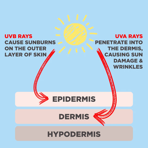 UVA vs. UVB rays - DRMTLGY