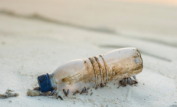Negative financial impact of plastic water bottles
