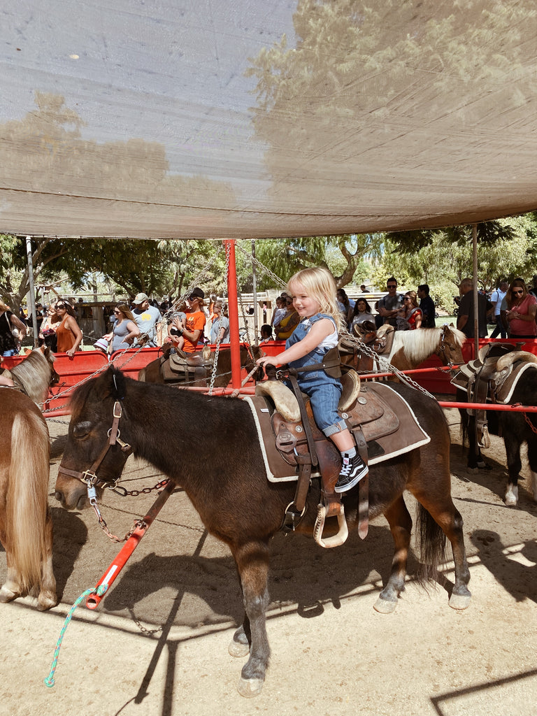 underwood family farms pony ride