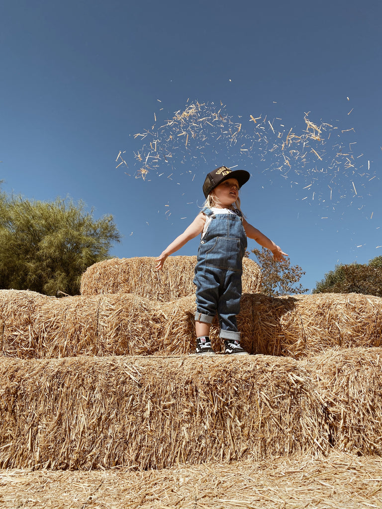 underwood family farms