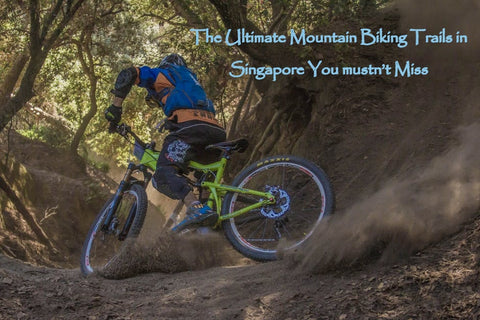 downhill mountain biking near me