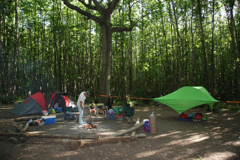 Badgells Wood Hammock Camping Site