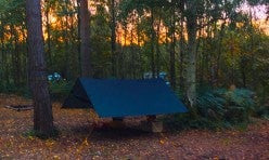 Beech Estate Woodland Hammock Camping Site