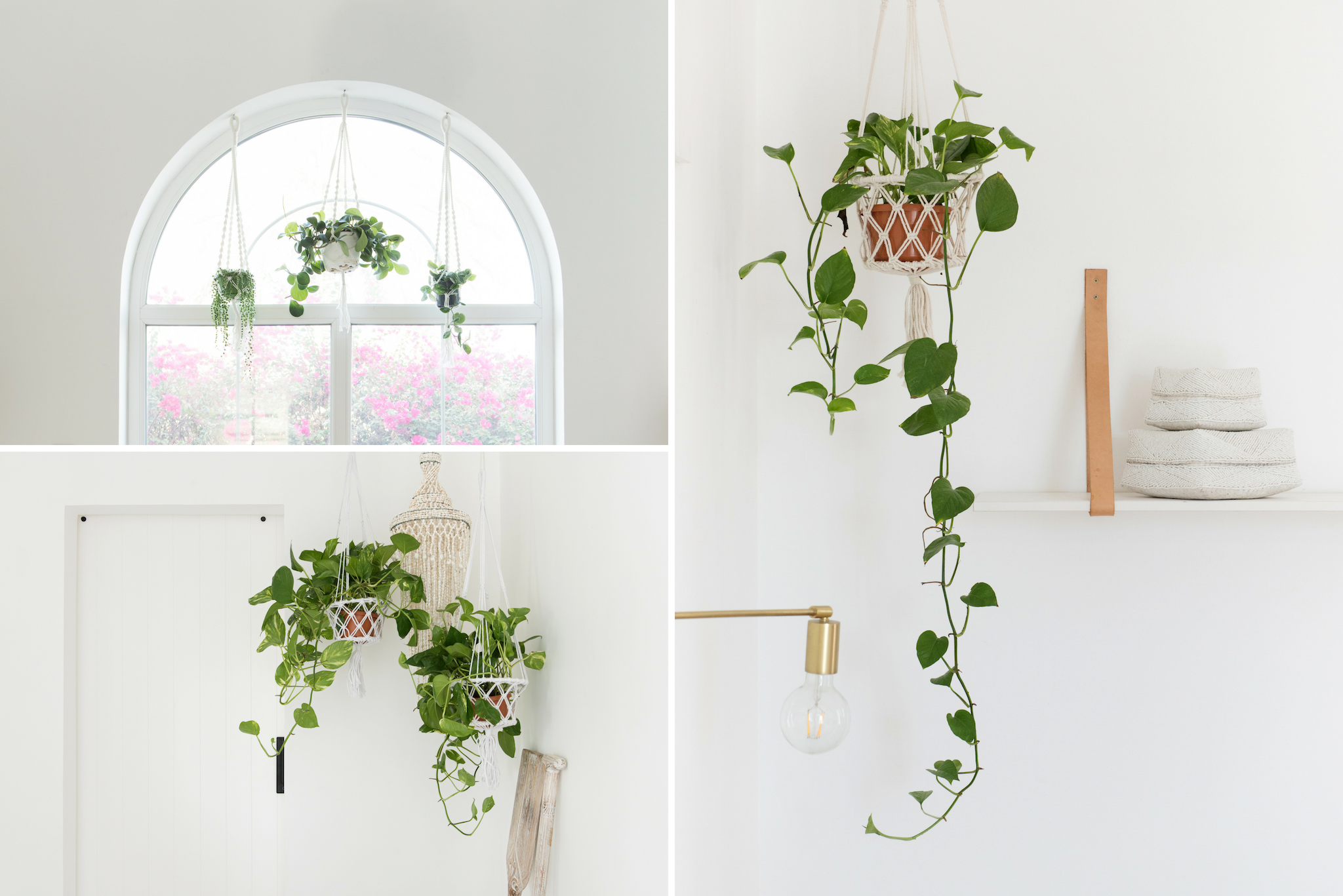 Macrame Hanging Plant