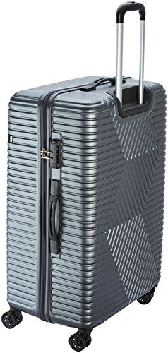 american tourister ellen