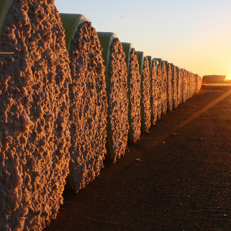 Australian cotton