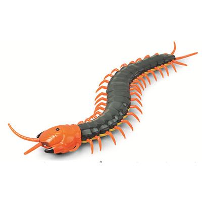 remote control centipede target