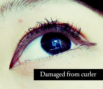 damaged lashes Lash curler 