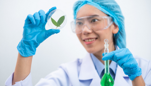 Researcher studying essential oils