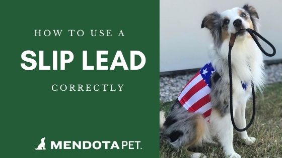 Mendota Products Dog Slip Lead
