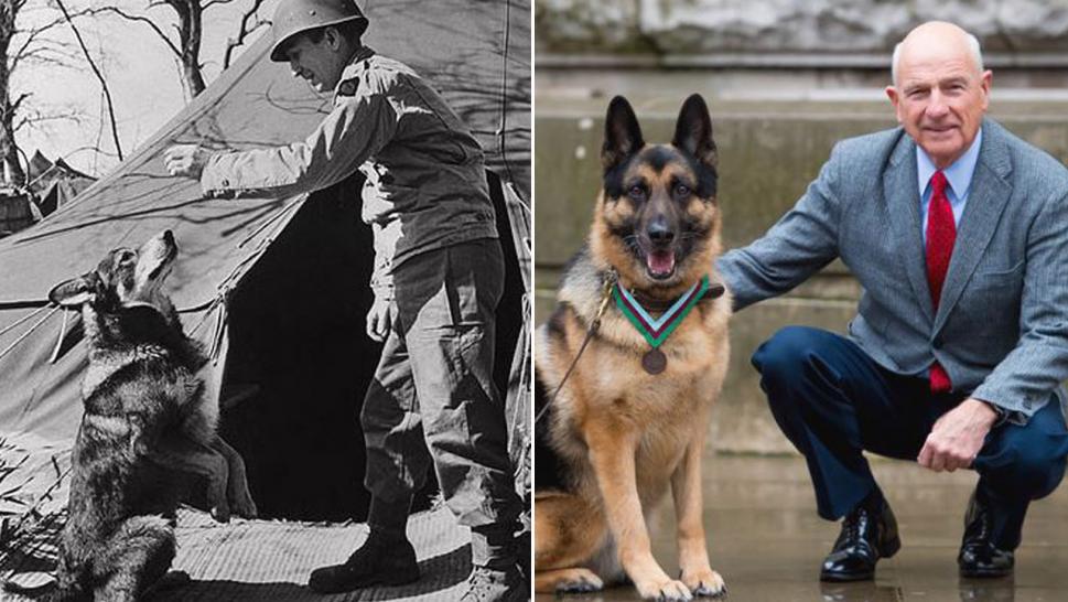 German shepherd mix Chips, seen at left getting a treat during WWII, was honored with a medal 