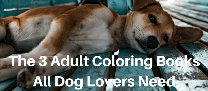 adult-coloring-books-dogs
