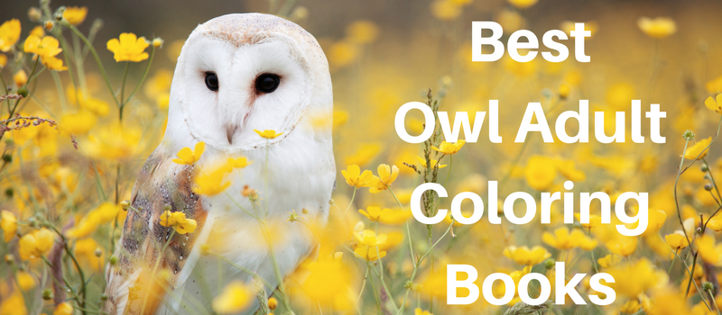 adult-coloring-books-owls