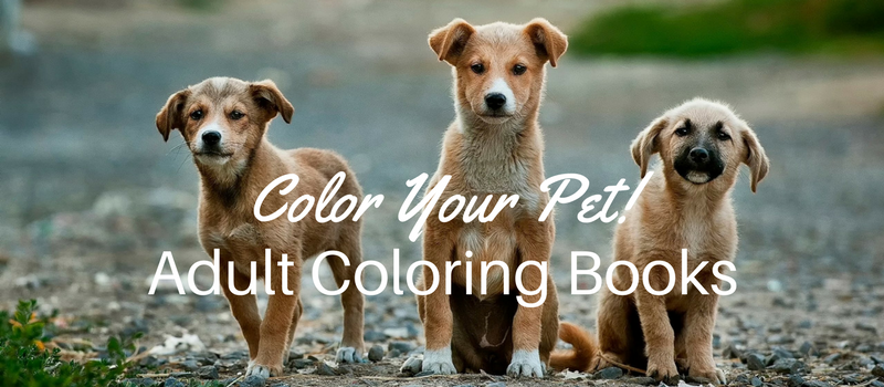 color-your-pet-adult-coloring-book