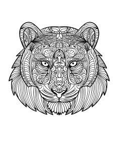 Lion Coloring Design