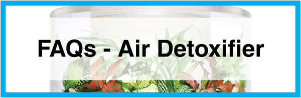 FAQs - Air Detoxifer / Purifier