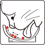 the CAT TONGUE, problems with other bowls, round bottom, food moves