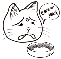 the CAT TONGUE, problems with other bowls, saliva, gross, don't want to eat