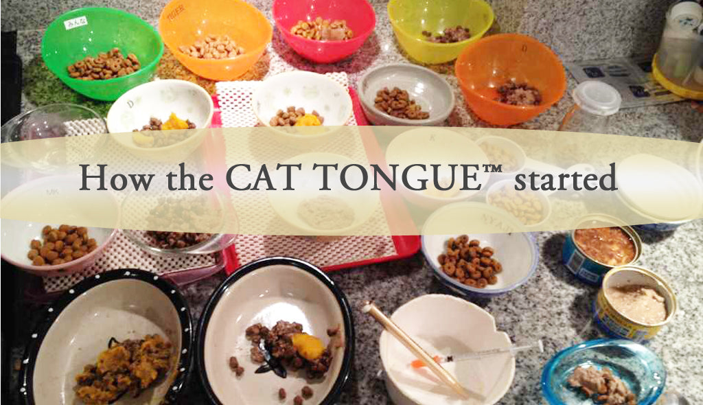 the CAT TONGUE, how the CAT TONGUE started, story of ten cats and owner, birth of the idea, design