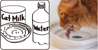 the CAT TONGUE, additional points, serve water or milk