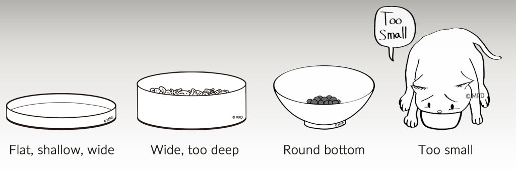 the CAT TONGUE, problems with other bowls, flat, shallow, wide, too deep, round bottom, too small