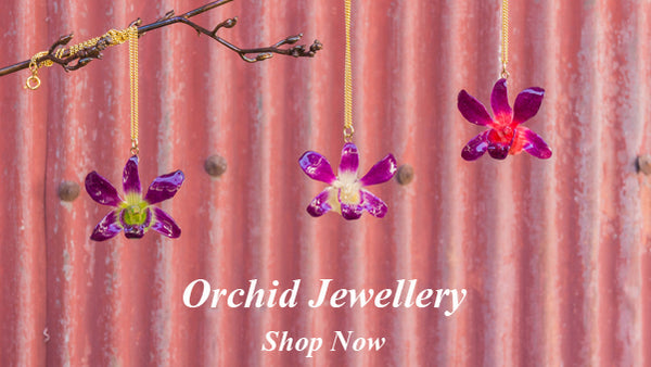 Shop for Orchid Jewellery