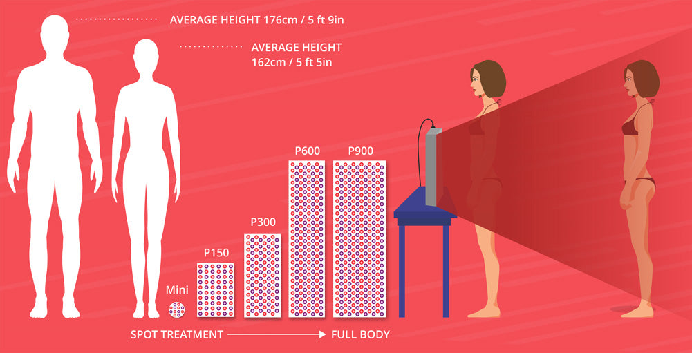 Derma Red sizes vs the average human body