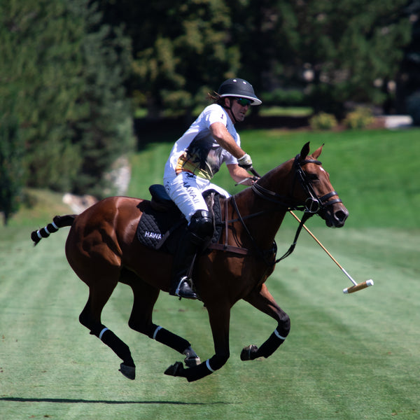 Chris Dawson repsenting Hawaii Polo Life in Denver, CO - Hawaii Polo Life - Horseplay