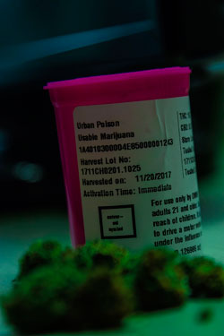 Close-up of a pink prescription bottle for herb