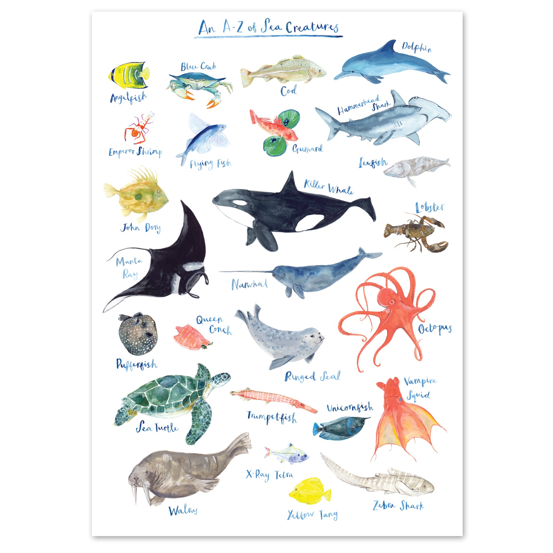 A3 A to Z of Sea Creatures Art Print by Fiona Purves | Curiouser